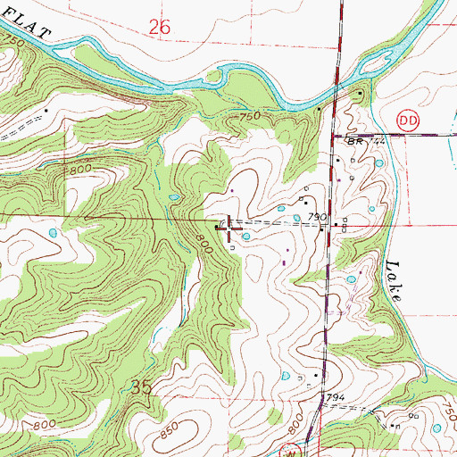 Topographic Map of Brushy School (historical), MO