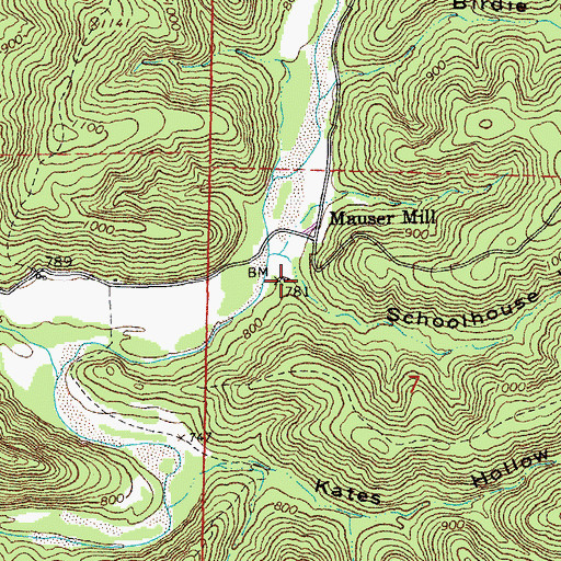 Topographic Map of Cedar Hill School, MO