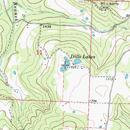 Topographic Map of Dills Lakes, AR