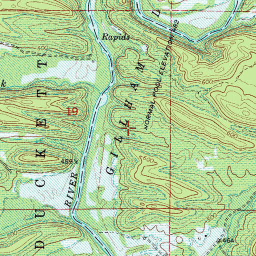 Topographic Map of Gillham Lake, AR