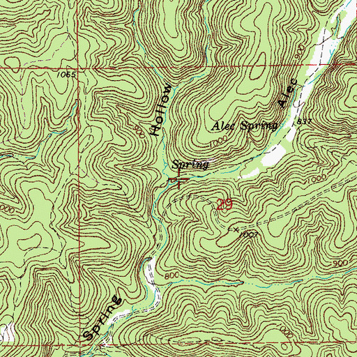 Topographic Map of Alec Hollow, MO