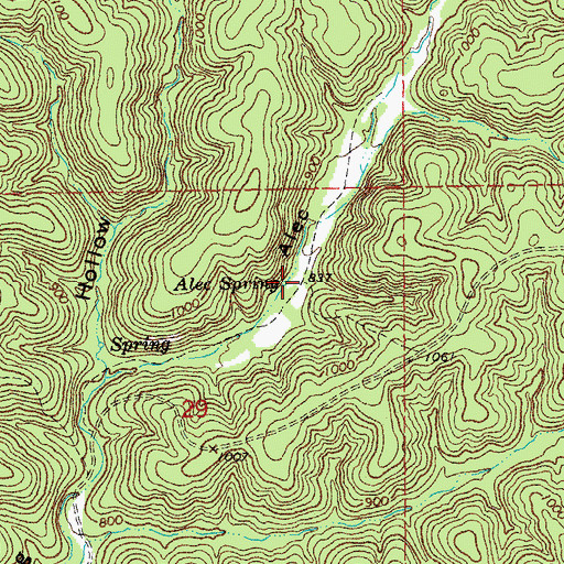 Topographic Map of Alec Spring, MO
