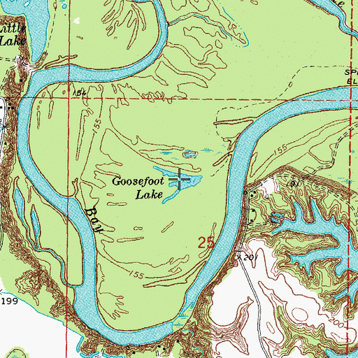 Topographic Map of Goosefoot Lake, AR