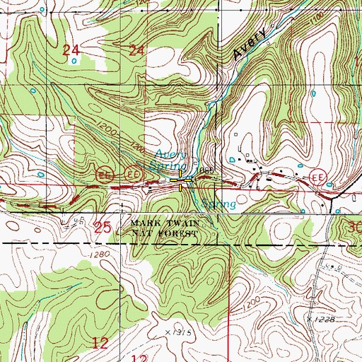 Topographic Map of Avery Spring, MO