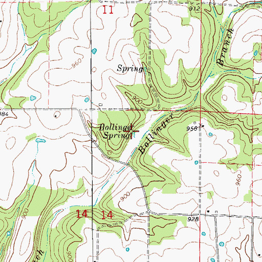 Topographic Map of Bollinger Spring, MO