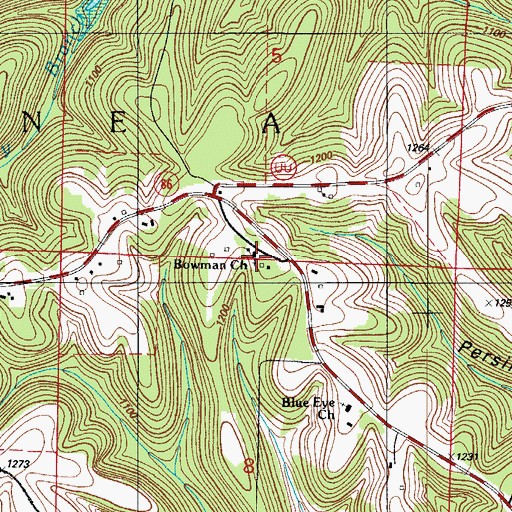Topographic Map of Bowman Church, MO