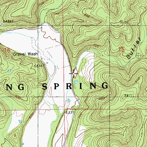 Topographic Map of Butler Hollow, MO
