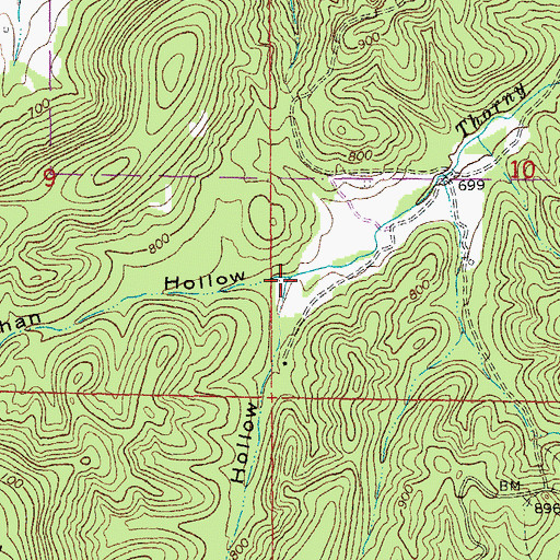 Topographic Map of Callahan Hollow, MO