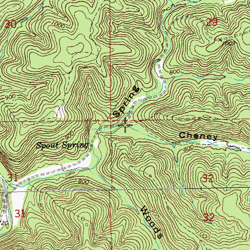 Topographic Map of Cheney Hollow, MO
