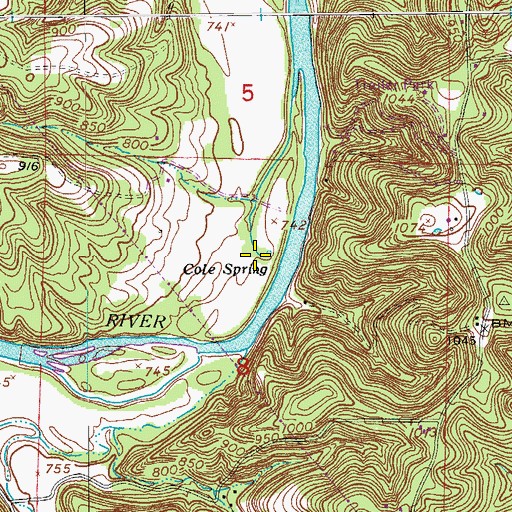 Topographic Map of Cole Spring, MO