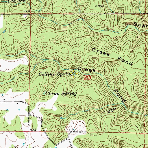 Topographic Map of Collins Spring, MO
