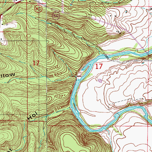 Topographic Map of Coon Hollow, MO