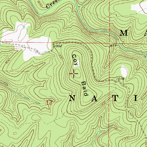 Topographic Map of Coy Bald, MO