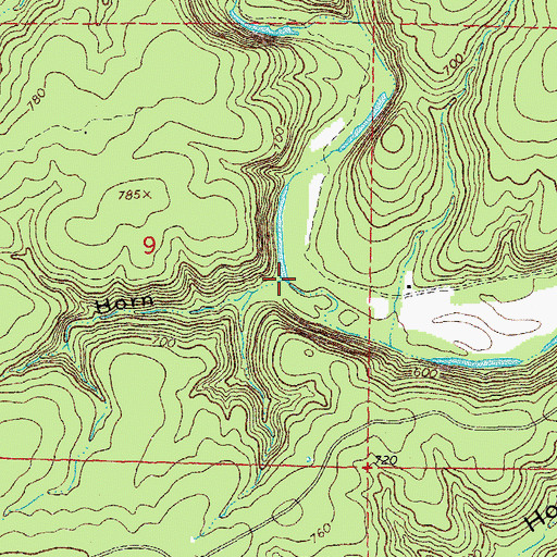 Topographic Map of Devils Horn, MO