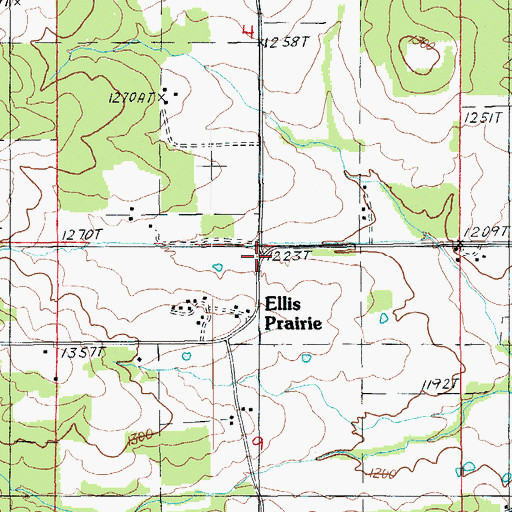 Topographic Map of Ellis Prairie, MO