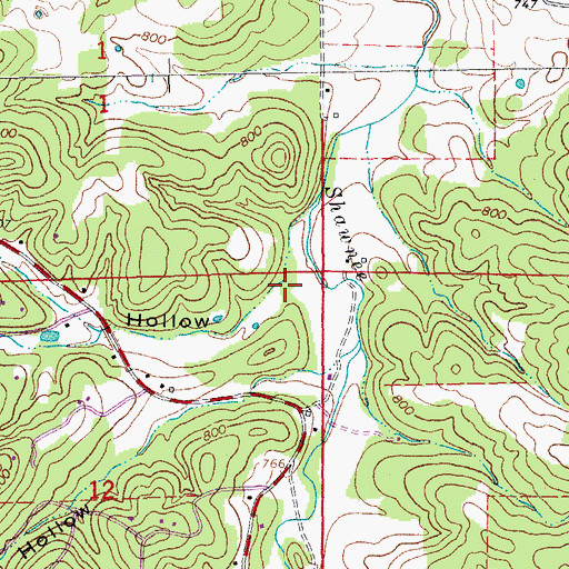 Topographic Map of Emory Hollow, MO