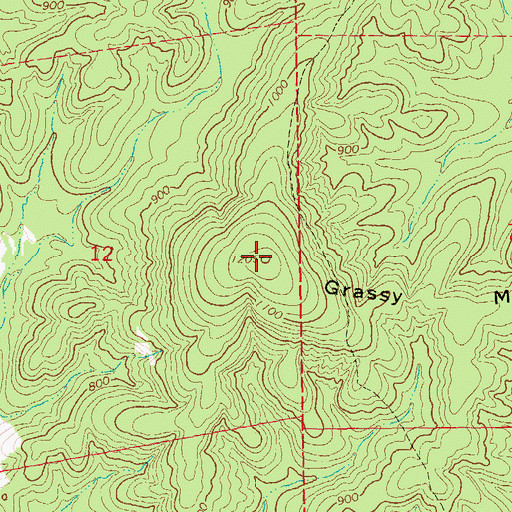 Topographic Map of Grassy Mountain, MO