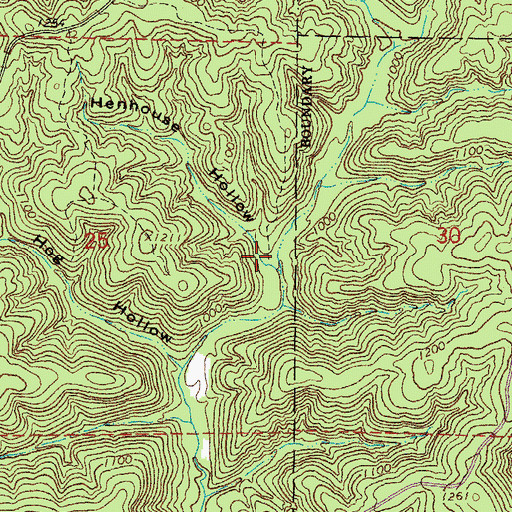 Topographic Map of Henhouse Hollow, MO