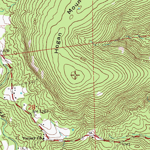 Topographic Map of Hogan Mountain, MO