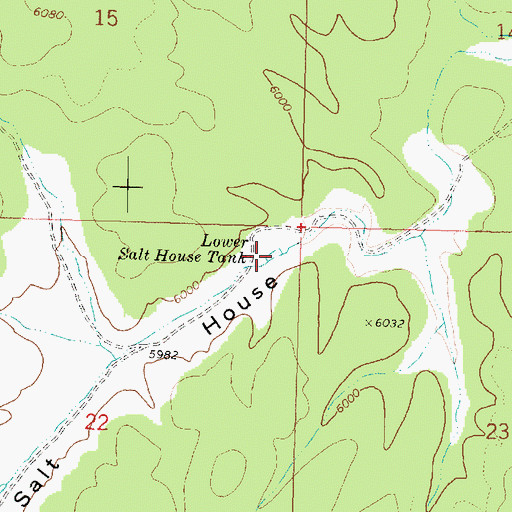 Topographic Map of Lower Salt House Tank, AZ