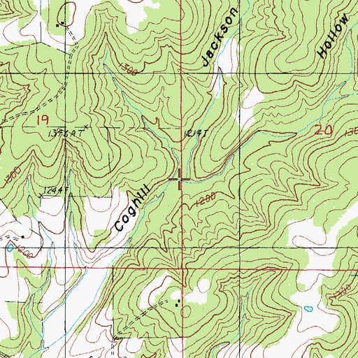 Topographic Map of Jackson Hollow, MO