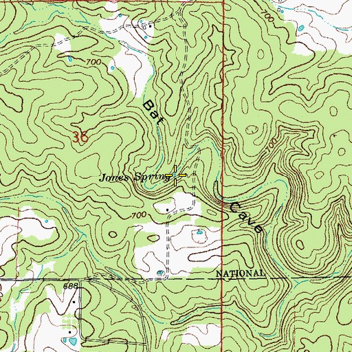 Topographic Map of Jones Spring, MO