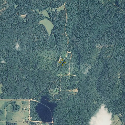 Aerial/Satellite Image of Jones Spring, MO