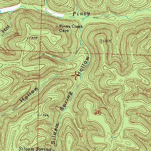 Topographic Map of Log Hollow, MO