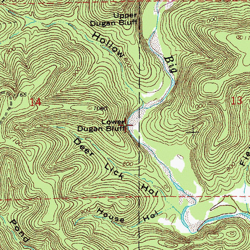 Topographic Map of Lower Dugan Bluff, MO