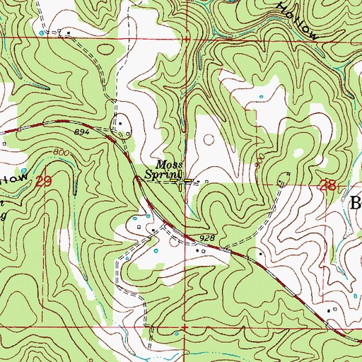 Topographic Map of Moss Spring, MO