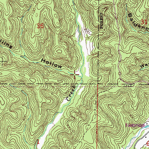 Topographic Map of Mullins Hollow, MO