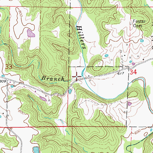 Topographic Map of Murphy Branch, MO