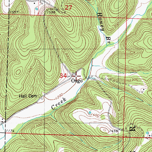 Topographic Map of Ongo, MO