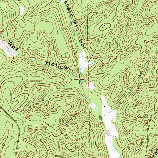 Topographic Map of Orchard Mill Hollow, MO