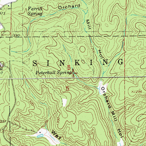 Topographic Map of Peterball Spring, MO