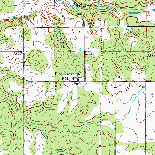Topographic Map of Pine Grove Church, MO