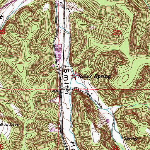 Topographic Map of Roluf Spring, MO