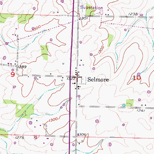 Topographic Map of Selmore, MO