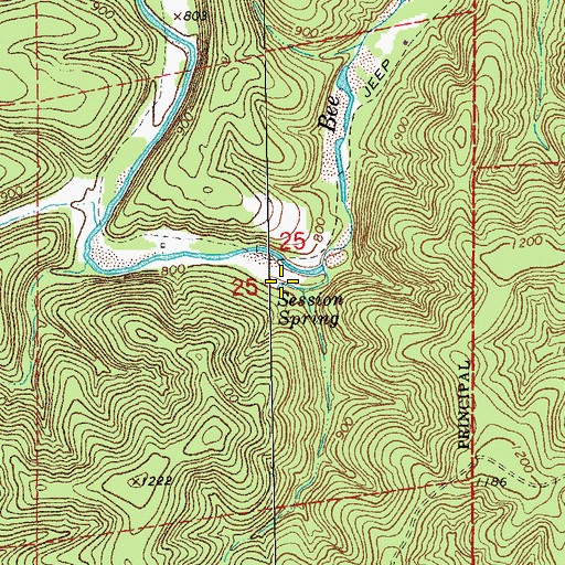 Topographic Map of Session Spring, MO