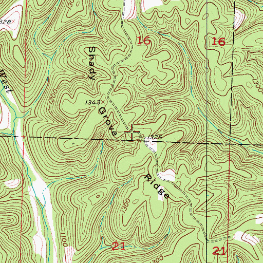 Topographic Map of Shady Grove Ridge, MO