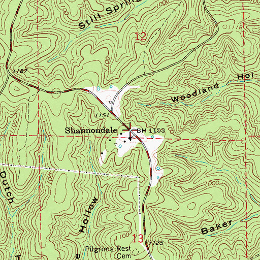 Topographic Map of Shannondale, MO