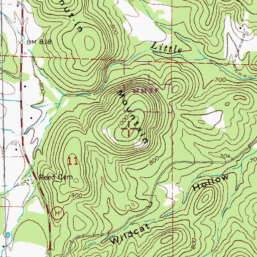 Topographic Map of Shut-In Mountain, MO