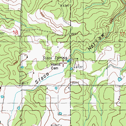 Topographic Map of Sisco Spring, MO