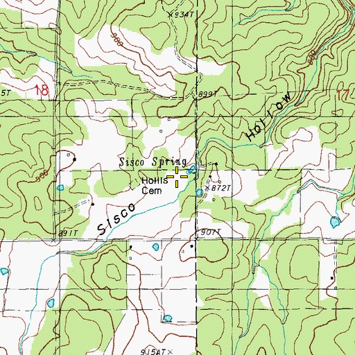 Topographic Map of Sisco Spring, MO