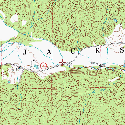 Topographic Map of South Fork Big Brushy Creek, MO