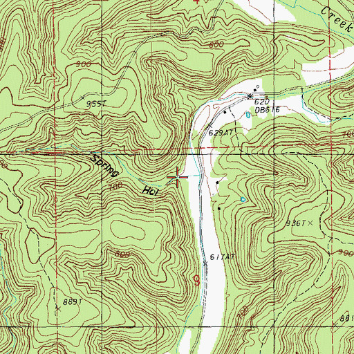 Topographic Map of Spring Hollow, MO