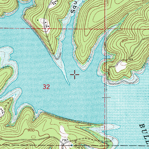 Topographic Map of Squirrel Hollow, MO