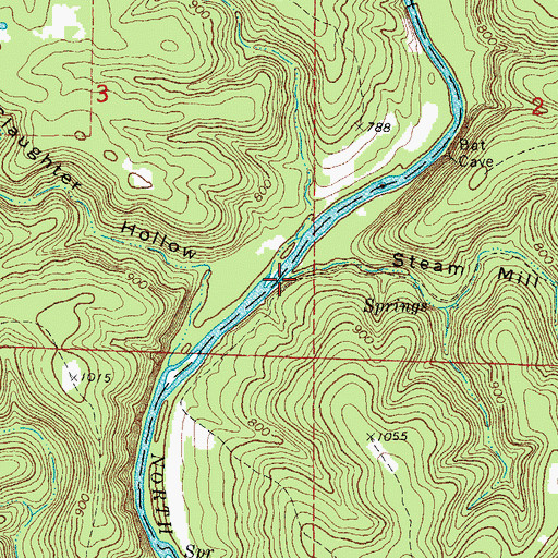 Topographic Map of Steam Mill Hollow, MO