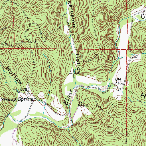 Topographic Map of Sugarcamp Hollow, MO