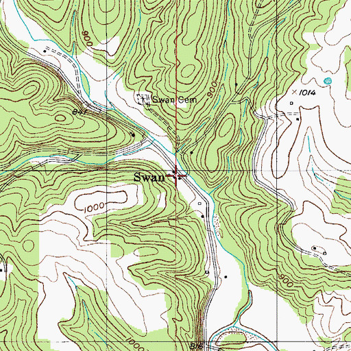 Topographic Map of Swan, MO